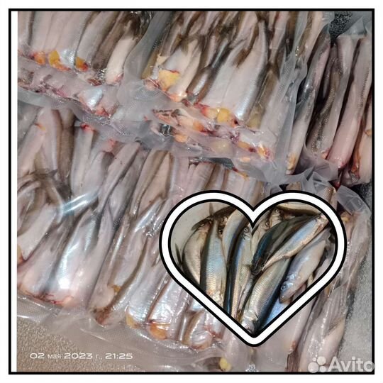 Корюшка С/М в вакуумной упаковке/ улов весна 2023