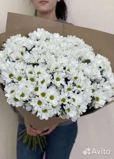 Хризантема Букеты с доставкой