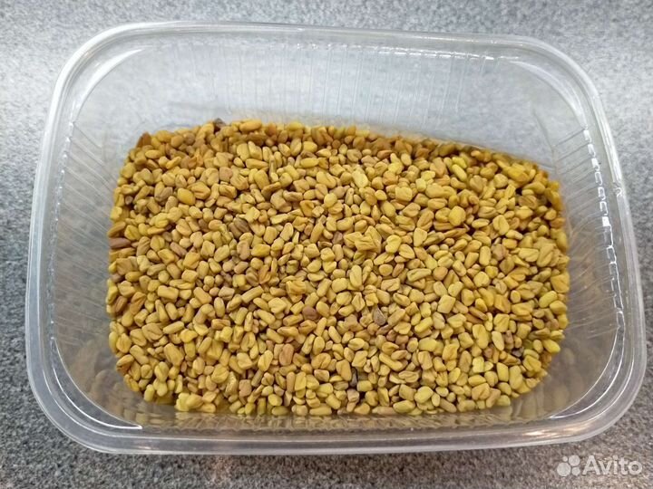 Пажитник семена шамбала