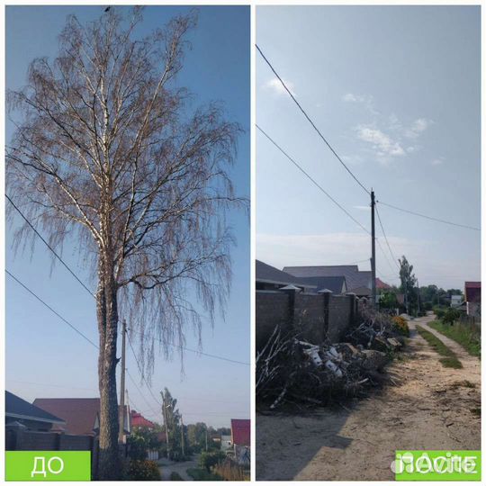 Спилить дерево, опиловка дерева, обрезать ветки