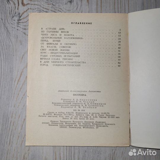 Окуловка. Города Новгородской области. Автономов