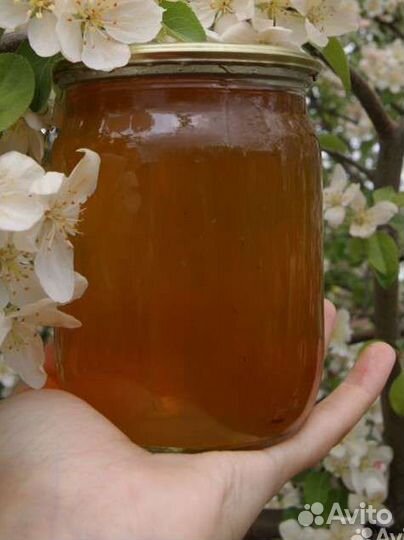 Варенье из одуванчиков