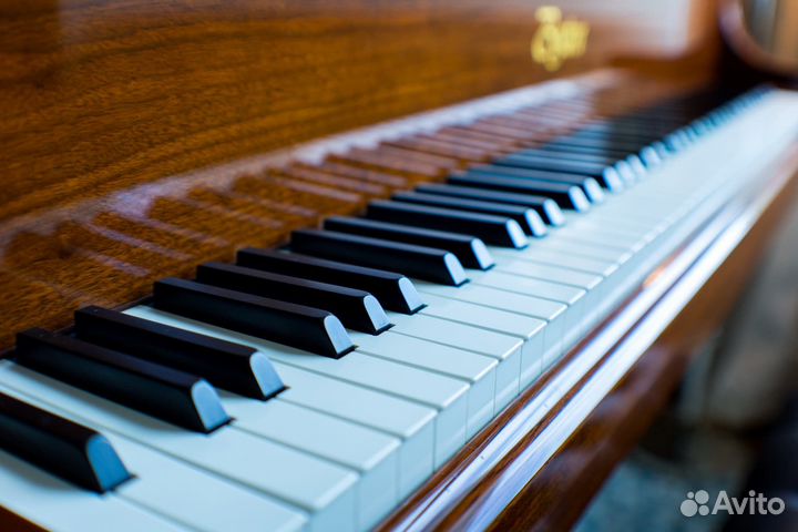 Уроки по фортепиано и сольфеджио