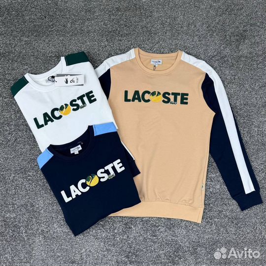 Свитшоты Lacoste