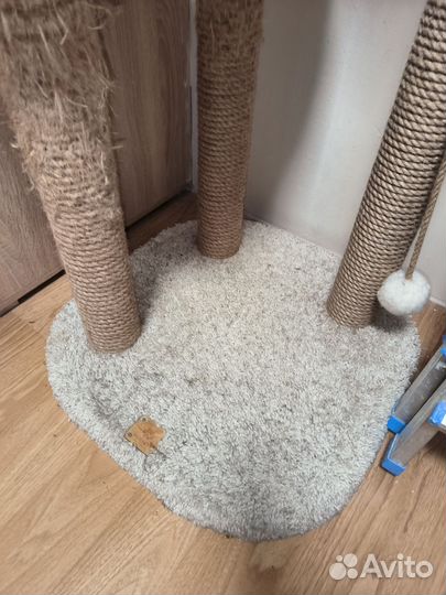 Когтеточка