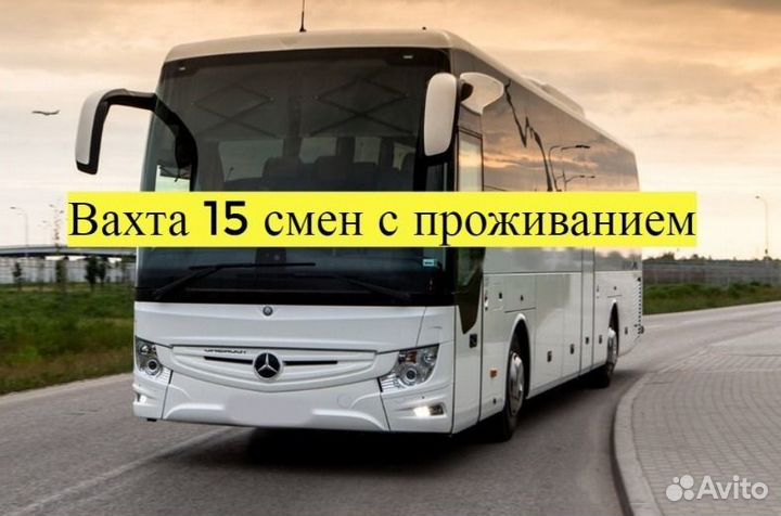 Упаковщики Сидя без опыта / Вахта 15 смен
