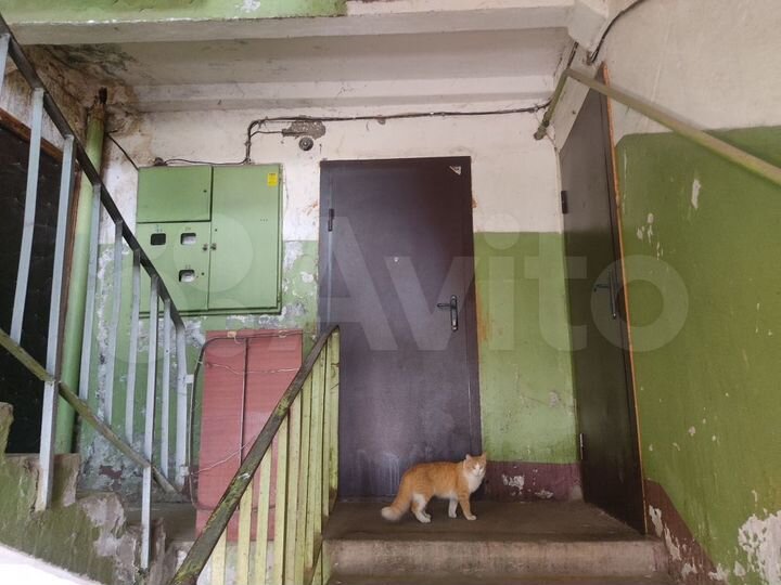 2-к. квартира, 50,5 м², 2/3 эт.