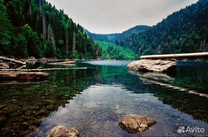 Тур путевка в Абхазию 7 нч завтрак