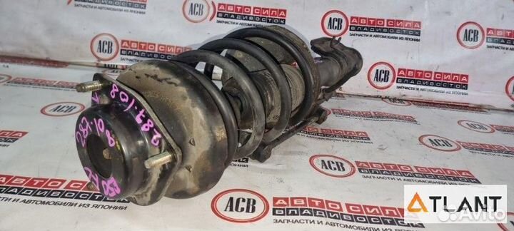 Стойка передняя левая nissan elgrand