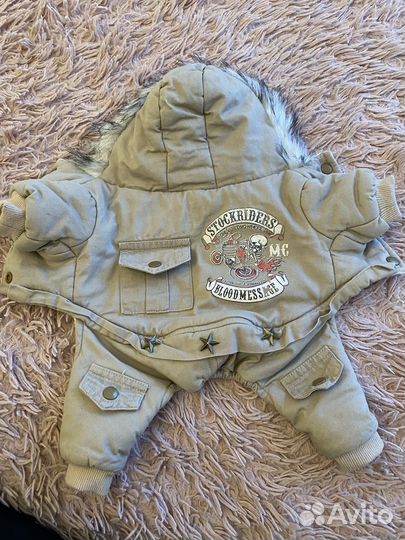 Одежда для маленьких собак