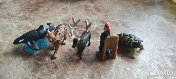 Киндер сюрприз натунс