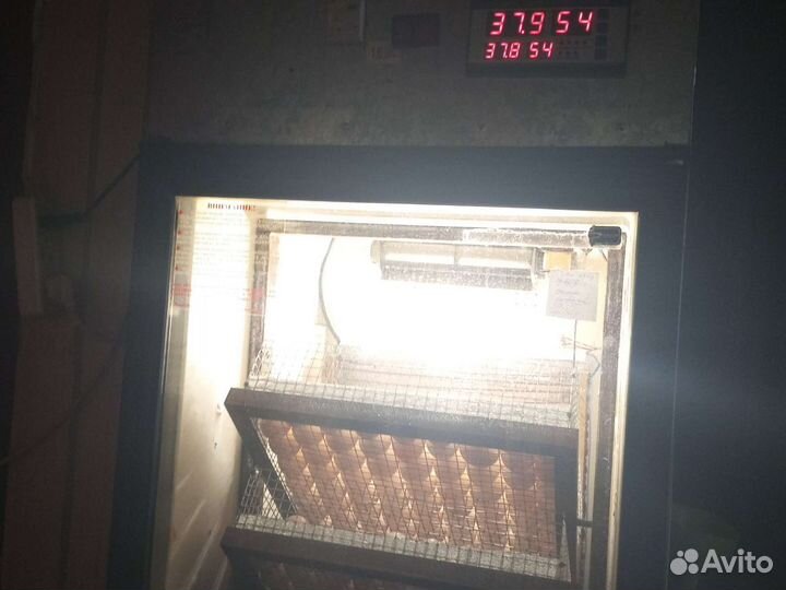 Клетка для бройлеров