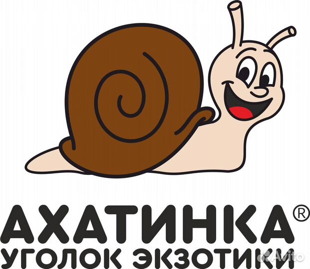 Продавец интернет-магазина зоотоваров