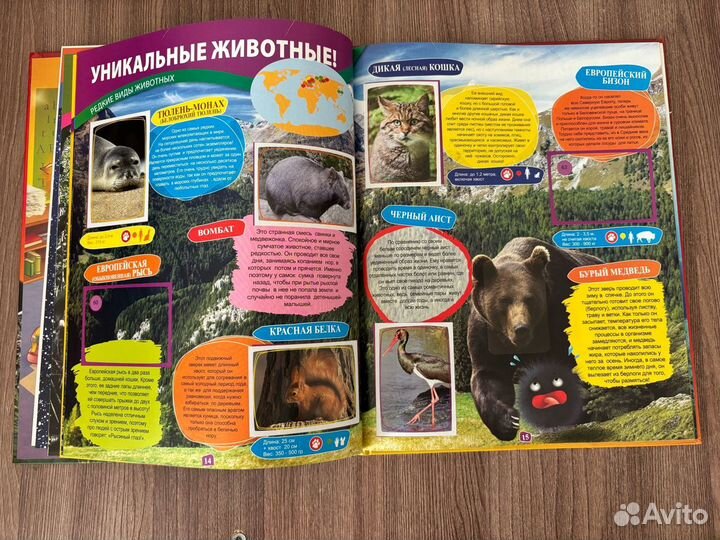 Альбом для наклеек panini super animals