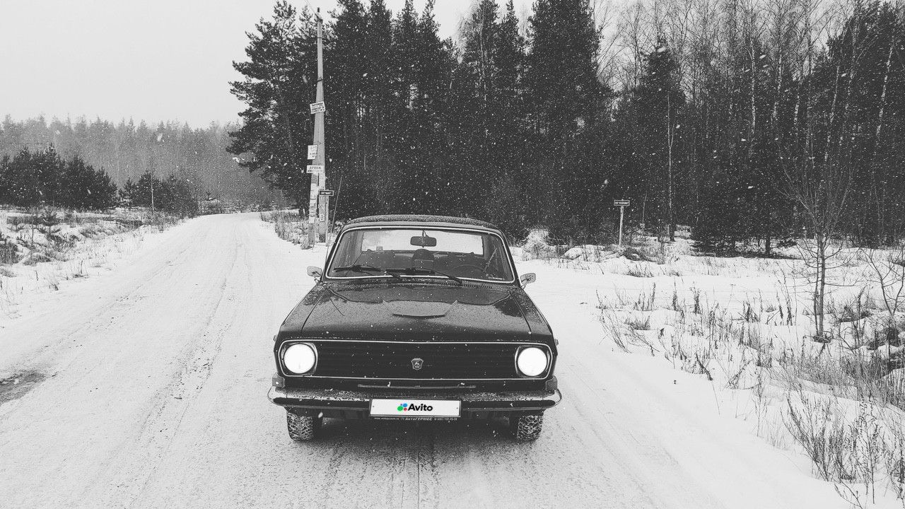 ГАЗ 24 Волга: фото владельца