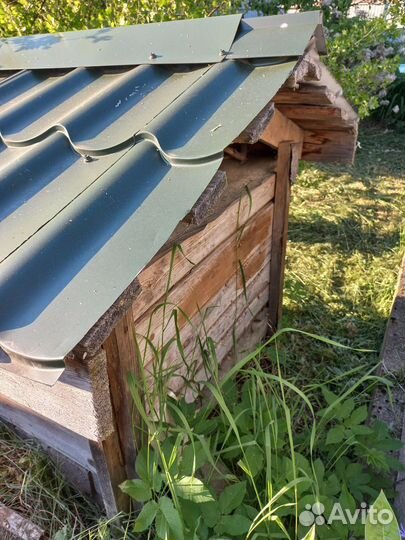 Собачья будка