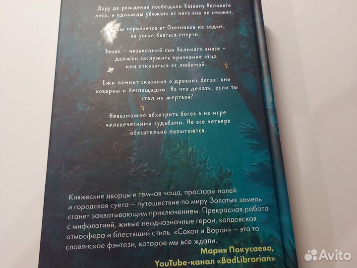 Книга сокол и ворон Ульяна черкасова