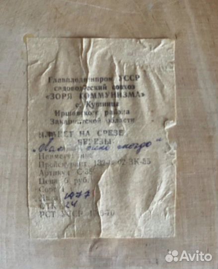 Панно на срезе березы Ласточкино гнездо