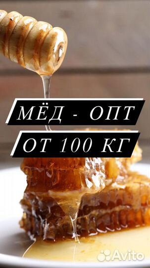 Донниковый Мед оптом