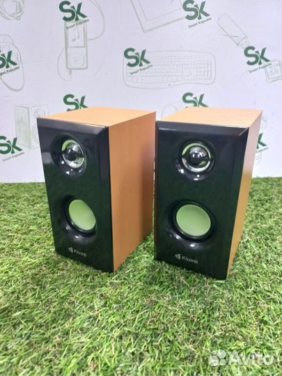 Колонки для компьютера T010 тмн10