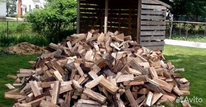 Дрова осина