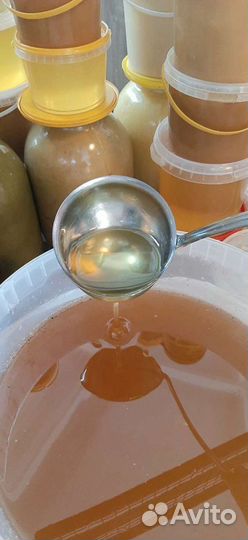 Мёд пчелиный натуральный