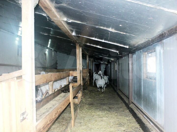 Готовый бизнес - ферма