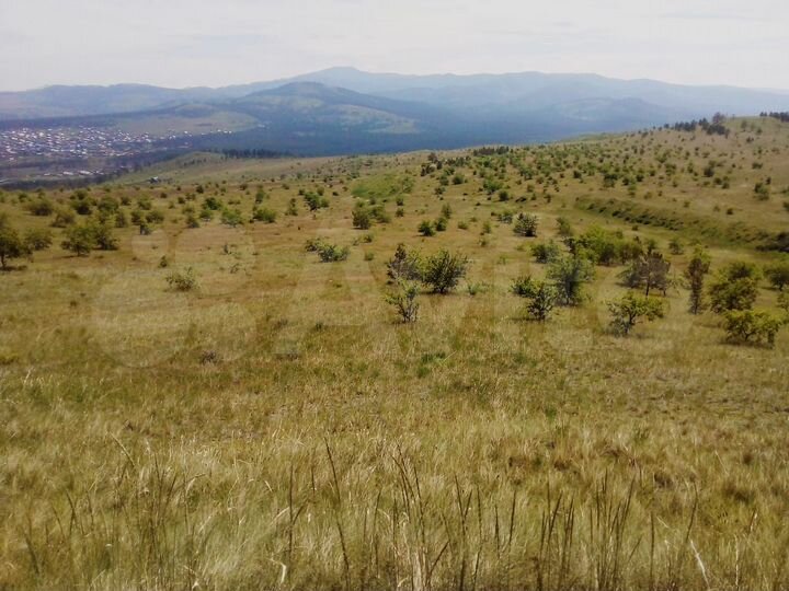 Участок 46 га (СНТ, ДНП)