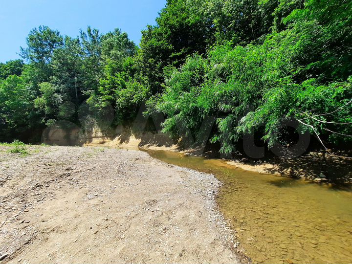 Участок 24,6 сот. (СНТ, ДНП)