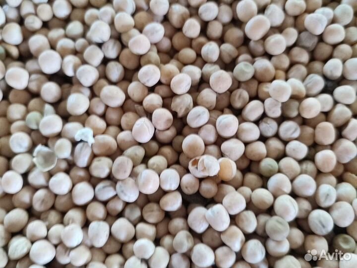 Зерносмесь