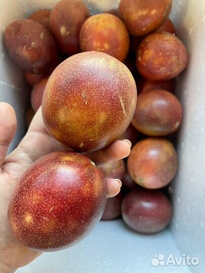 Экзотические фрукты оптом из Таиланда