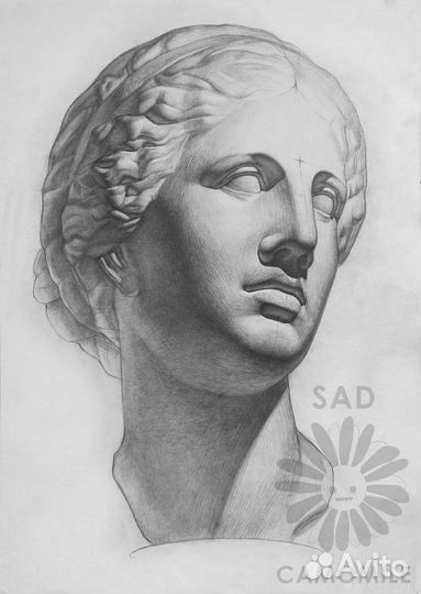 Академический рисунок и Портрет