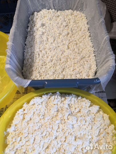 Домашний творог, сметана, сыр, масло