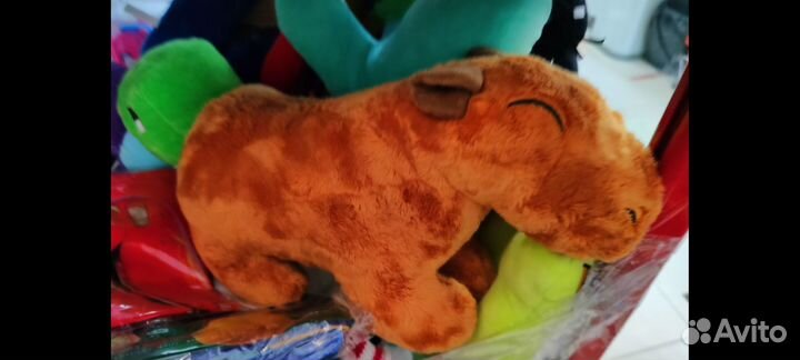 Капибара сувенирная