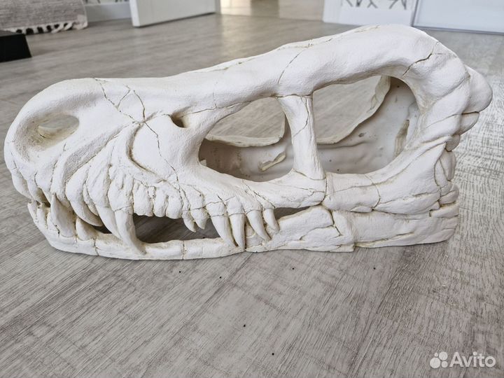 Череп динозавра для аквариума