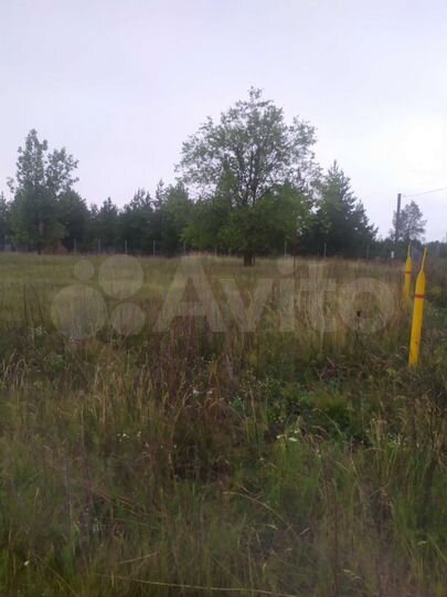 Участок 10 сот. (ИЖС)