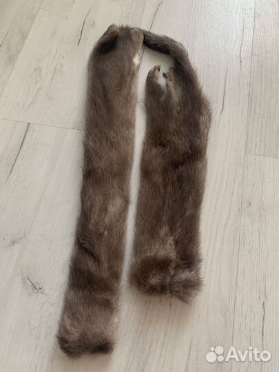 Шкурка животного