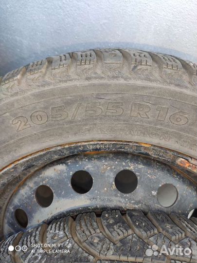 Nokian Tyres Hakkapeliitta 5 205/55 R16