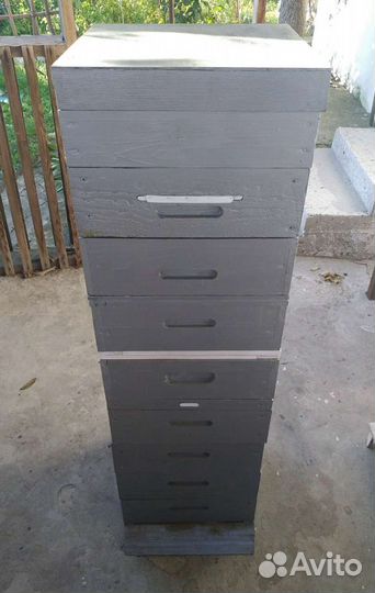 Улей нуклеус