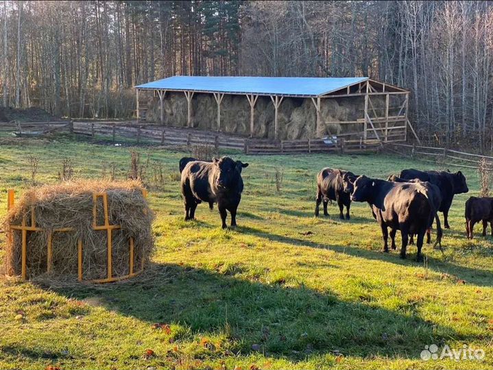 Требуется семья разнорабочих на эко-ферму (жена+му