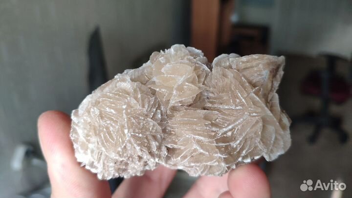 Минералы. Гипсовая роза