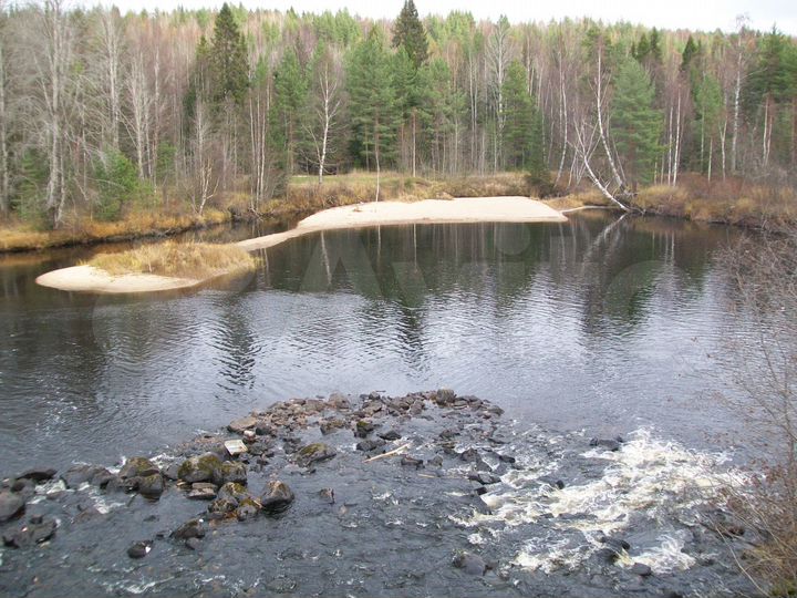 Участок 4,87 га (СНТ, ДНП)