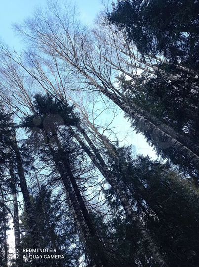 Участок 7 сот. (ИЖС)