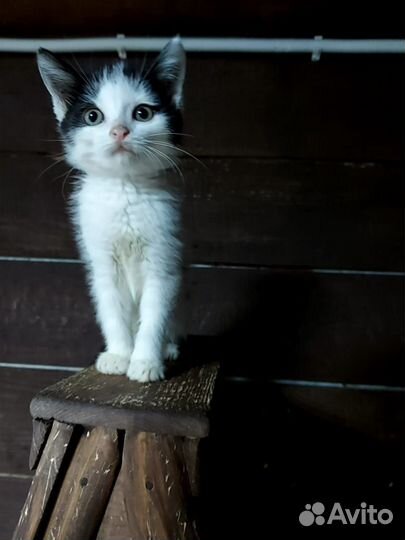 Малышня с приюта ищут дом