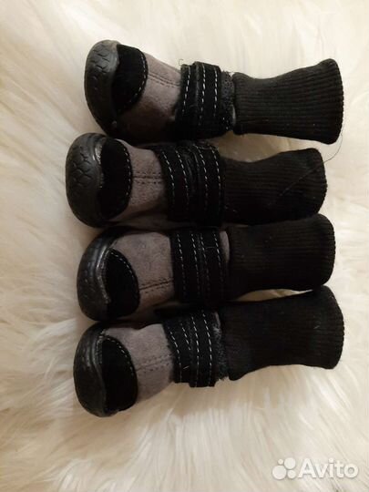 Ботинки для собак