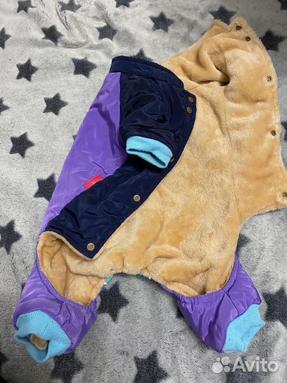 Вещи на собаку пакетом или отдельно