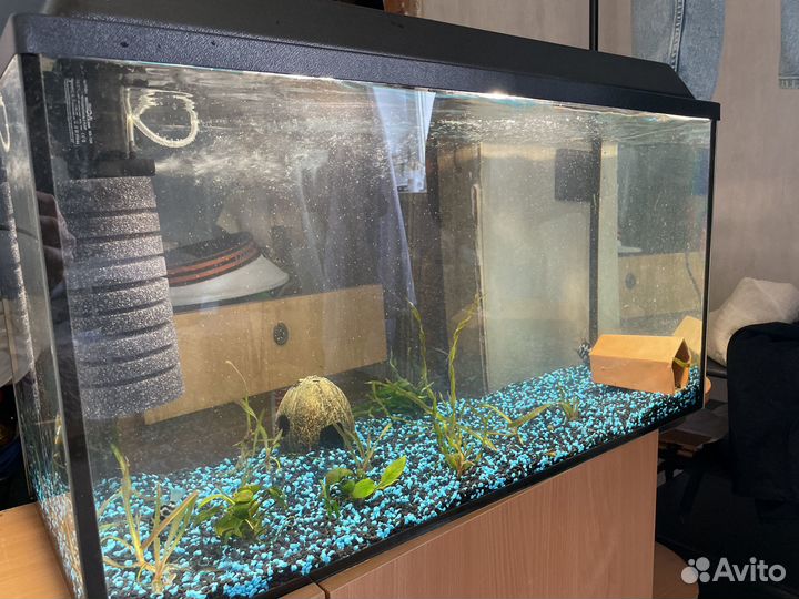 Аквариум