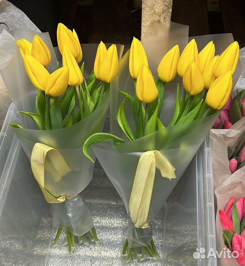 Букеты из тюльпанов и нарциссов под заказ