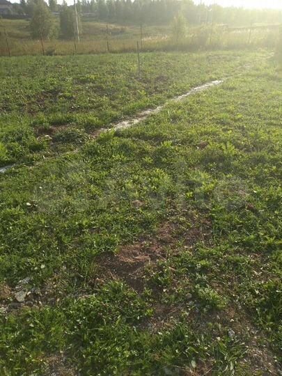 Участок 26 сот. (ИЖС)