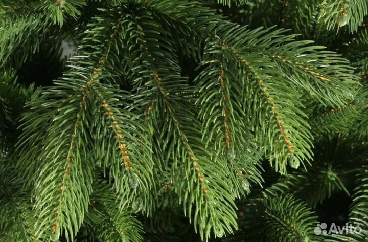 Новогодняя ель литая 2,1 м, premium